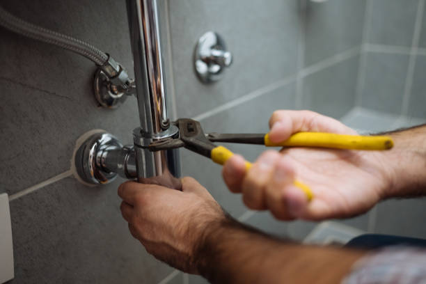Best Best Plumbers Near Me  in Fox River Grove, IL